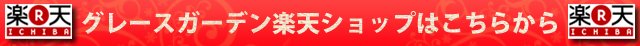 ��ŷ������ͥ��륷��å׷�����Υ��졼�������ǥ�